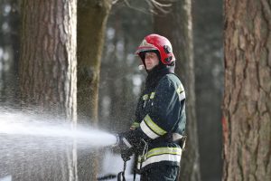 Dojazdy pożarowe w lasach – jakie muszą spełniać wymagania?